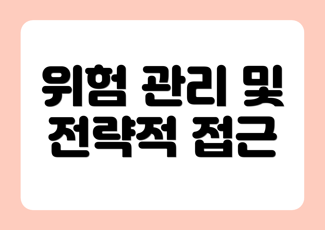 위험 관리 및 전략적 접근