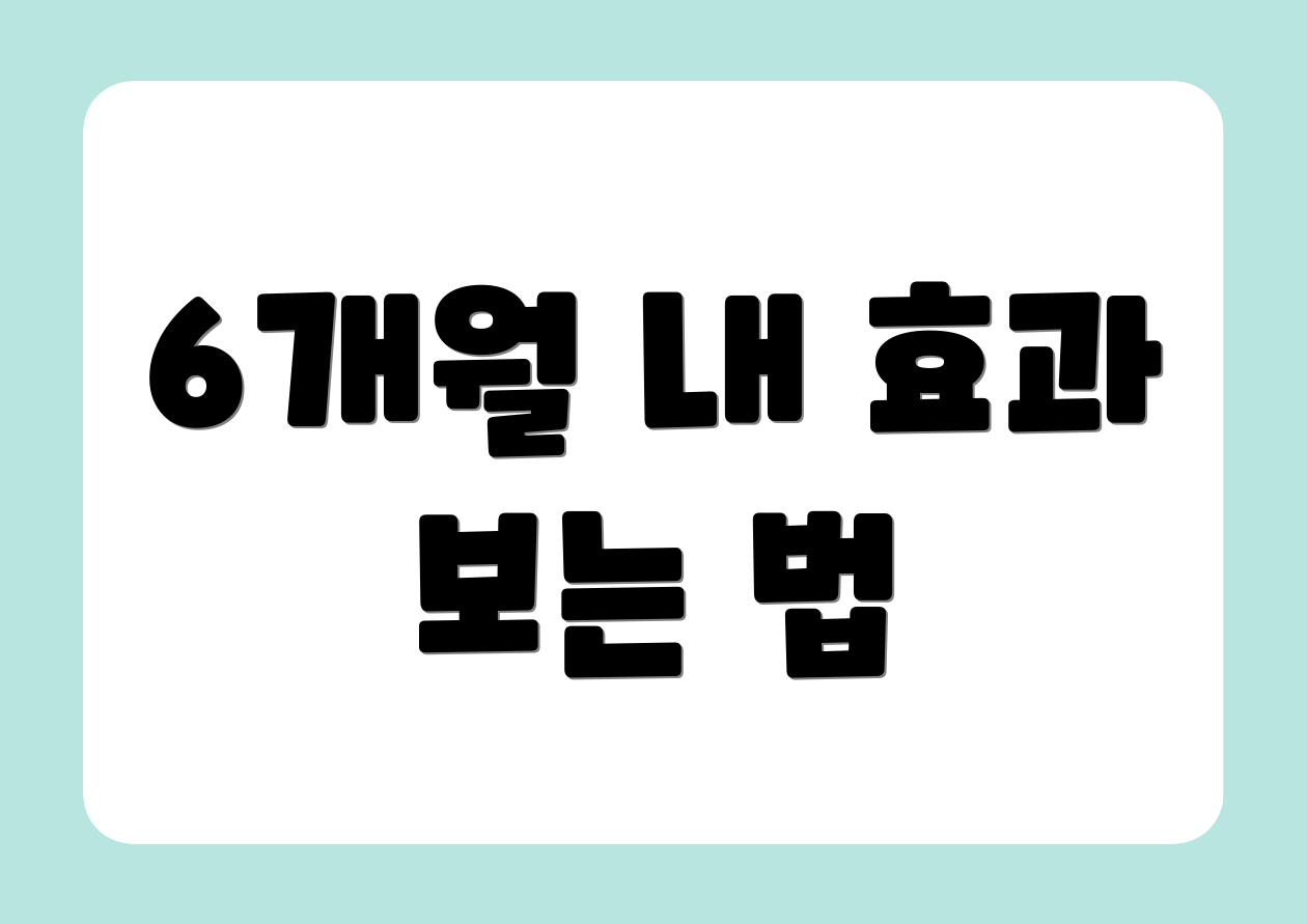 6개월 내 효과 보는 법